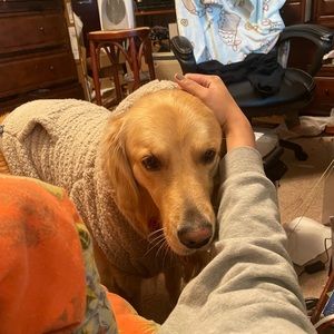 Meet your Posher, Catherine